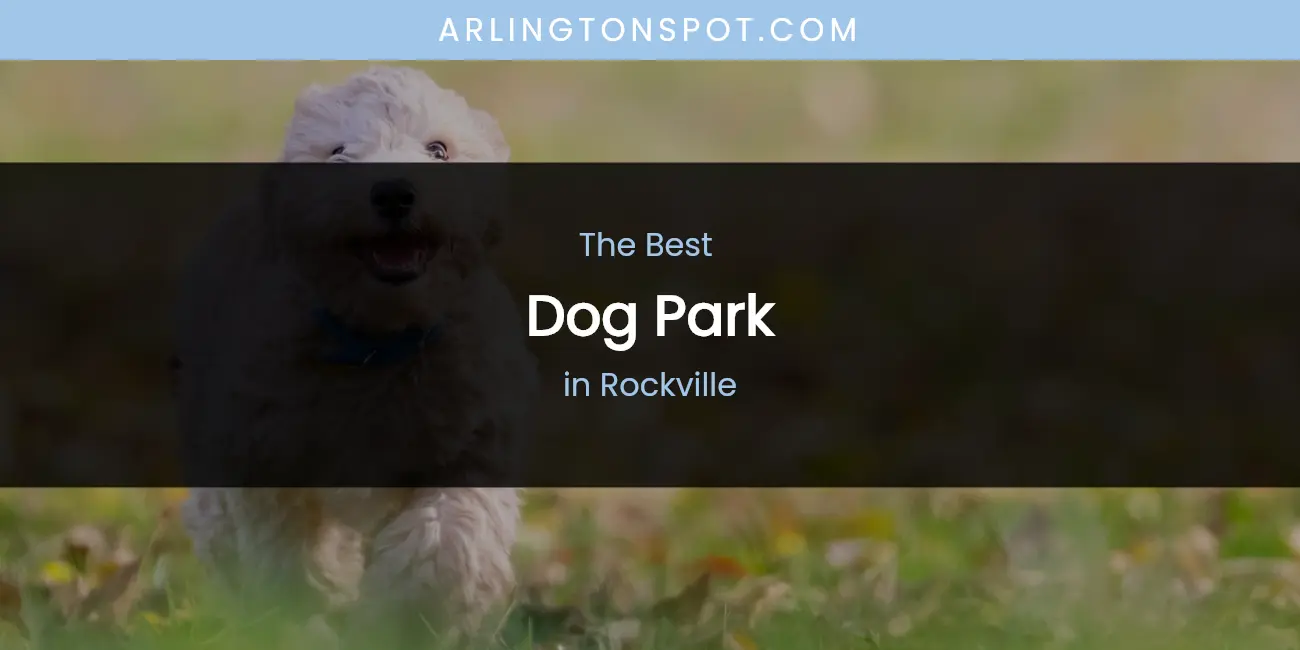 Rockville's Best Dog Park featured