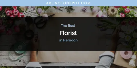 The Absolute Best Florist in Herndon